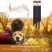 Pet Memorial Wind Chimes with Rainbow Bridge Bracelet - Sympathy Gifts for Loss of Dog or Cat - Buy Online on GoSupps.com