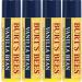 Burt's Bees Vanilla Bean Lip Balm (PACK OF 4) Fruit Vanilla 1 count (Pack of 4) - Buy Online on GoSupps.com
