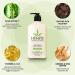 Age Defying Hempz Lotion 17oz - Hydrating & Anti-Aging Formula for Beautiful Skin - Shop Internationally - Buy Online on GoSupps.com