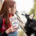 New! Ewalia Liver-Renal Juice for Dogs - Natural Liver & Kidney Support - Holistic Health - Vet-Developed - 100% Pure - 2x500ml - International Shipping Available - Buy Online on GoSupps.com