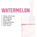 BioSteel Zero Sugar Hydration Mix - Watermelon Flavor with 5 Essential Electrolytes | 20 Servings - Hydration for Optimal Performance - Buy Online on GoSupps.com