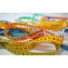 4 Pack Soft Tape MeasureÂ Double Scale body sewing Flexible Ruler for Weight Loss Medical Body Measurement Sewing Tailor Craft Vinyl Ruler  Has Centimetre Scale on Reverse Side 60-inch - Buy Online on GoSupps.com