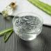 Aloe ARBORESCENS Miller with Agave 100% Vegan 100% Fresh 100% BIO Recipe bio by Father Romano Zago - Buy Online on GoSupps.com