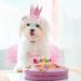 GAGILAND Dog Birthday Outfit - Pink Puppy Tutu Set with Adorable Hat and Necklace for Small Girl Dogs - Buy Online on GoSupps.com