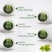 Nutriglow Green Tea Facial Kit 5-Pieces Skin Care Set for Deep Cleansing Acne Prone Oily Skin 250Gm - Buy Online on GoSupps.com