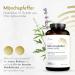 B Sain M nchspfeffer Capsules - High-Dose 20mg Vitex Agnus-Castus Extract | 100% Vegan | Made in Germany | 365 Capsules Annual Supply - Buy Online on GoSupps.com