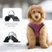 Ankilo Upgraded Harness with Leash Set Escape Proof Dog Vest Harnesses Vest Harnesses with Soft Mesh and Reflective Bands No Pull Small Dog Harness for Cats and Small Dogs (Rose-red S) - Buy Online on GoSupps.com