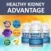 Kidney Shield 2-Pack Kidney Support Supplement Fish Oil Omega-3 Fatty Acid Renal Pills 240 Count - Buy Online on GoSupps.com