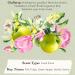 Tocca Women's Perfume Mini Discovery Sampler Set of 8 1.5ml Each - Includes Cleopatra Stella Florence Giulietta Colette Simone Belle & Lucia Discovery Set of 8 - Buy Online on GoSupps.com
