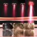 Shop 3-in-1 Electrical Scalp Massage Brush & Hair Oil Applicator Red Light Therapy for Hair Growth | Perfect for Women & Men - Buy Online on GoSupps.com