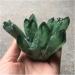 Natural Crystal Rough 1 pcs Beautiful Green Ghost Phantom Quartz Crystal Cluster Rock Stones Crystals Reiki Specimen Minerals Reiki Decoration 400-500g - Buy Online on GoSupps.com