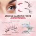 Magnetic Eyelashes | Reusable Dual Magnetic Lashes | Natural Look with Applicator | Easy to Wear No Glue Needed - Buy Online on GoSupps.com