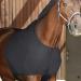 Stretch School Protection for Horses | Elastic Shoulder & Breast Protection Vest - Comfort Fit Anti-Bibs Black L - Buy Online on GoSupps.com