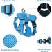 Petbonus Adjustable Cat Dishes with Leash Break-Out - Soft Breathable Cat Bowls for Kittens (XS Blue) with Reflex Stripes - Ideal for Safe Eating - Buy Online on GoSupps.com