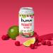 Humm Sparkling Probiotic Seltzer Variety Pack - Peach Raspberry Lime - Zero Sugar & Calorie - Whole30 Approved - 2B Probiotics - 12oz (12 Pack) - Buy Online on GoSupps.com