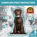 Flea and Tick Collar for Dogs - 8 Month Prevention & Treatment, 100% Natural, Waterproof - Includes Tick Removal Tools | 2 Pack - Buy Online on GoSupps.com