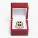 Buy McBean FFL Fantasy Football Championship Ring Replica 2023 - Rugby League Champion Rings - Perfect Souvenir for Fans and Office Decor - Buy Online on GoSupps.com