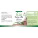 Fairvital Boswellia Frankincense 400mg - 120 Vegan Tablets | 65% Boswellic Acids - Buy Online on GoSupps.com