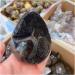 Natural Crystal Rough Crystal 1pcs 900-1.1kg Natural Curvature of The Furnishing Articles Turtle Grain Stone Stones Ball Septarian Nodule Crystal Quartz - Buy Online on GoSupps.com