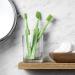 Tepe Good Soft Toothbrush - Eco-Friendly | Compact Head & Soft Bristles | 1 Pack (Randomly Sorted) - Buy Online on GoSupps.com