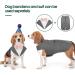 Kuoser Dog Smoking Suit & Bandana Set - Stylish Pet Formal Wear for Weddings Halloween & Birthdays - Comfortable Costume for Dogs S-XXL (29 cm Gray) - Buy Online on GoSupps.com