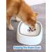 Weinidasi WassernaPf for Dogs - 1.5L Water Stake for Cats/Dogs | Portable Anti-Slab Drinking Trinker - Perfect for Home & Travel - Buy Online on GoSupps.com
