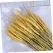 Zerodeko Natural Wheat 1 Decor Simulation Wheat Dried Wheat Rural Wheat Dried Flowers Natural Decorative Wheat - Buy Online on GoSupps.com