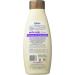 Oster Oatmeal Essentials 18-Ounce Puppy Shampoo - Gentle Formula - Buy Online on GoSupps.com