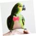 NOLITOY Africa Xuan Washable Reusable Parakeet Feng Birds Flight African Parrot Nappies Bow Bird Breathable 14x7cm - Buy Online on GoSupps.com