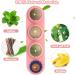 Aucenix Catnip Ball 4 Pack - Natural Dental Toys for Cats & Kittens | Teeth Cleaning & Licking Fun (Pink) - Buy Online on GoSupps.com