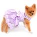 Luxury Summer Pet Dress for Small Dogs & Cats - Paidful Rose Flower Lace Tutu Wedding Dress - Purple Birthday Outfit for Chihuahua - Size M - Buy Online on GoSupps.com