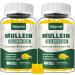 2 Pack Mullein Gummies for Lungs, Mullein Leaf Extract Supplement for Digestive & Respiratory & Immune Support with Bromelain, Quercetin, Mango Flavor, 120 Count Mango 60 Count (Pack of 2)