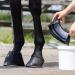 QHP Jumping Bell Hoof Moisturizer - Black - XXS | Premium Hoof Care for Horses | International Shipping Available - Buy Online on GoSupps.com
