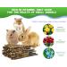 ABIZOO 18-Piece Rabbit Chew Toy Set | Natural Apple Sticks & Dental Care for Rabbits Hamsters & Guinea Pigs - Buy Online on GoSupps.com