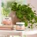 Weleda Bio Mama Pregnancy Body Butter - Vegan Natural Skin Care for Stretch Marks Prevention | 150ml Shea & Cocoa Butter Cream - Buy Online on GoSupps.com