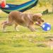 Piang Gouer Interactive Dog Football Toy - Plush Puzzle Ball for Medium & Large Dogs | 7.1in Jolly Ball - Buy Online on GoSupps.com