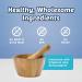 Blue Buffalo Pumpkin & Cinnamon Health Bars Dog Treats 16oz - Natural Crunchy Treats - Buy Online on GoSupps.com