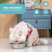 Avont Katzenbody: Optimal Recovery Suit for Cats - Post-Op Castration Weaning & Skin Disease Protection | Shop Now! - Buy Online on GoSupps.com
