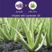 First Botany Pure Aloe Vera Gel with Lavender Oil - 100% Fresh & Pure Natural Raw Moisturizer - 16.9 fl oz - Buy Online on GoSupps.com