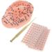 Healvian 3 Sets Auricular Tools - Ear Acupoint Stickers for Ear Pressure Relief - Portable Household Model Kits for Self-Care - Disposable Silicone & Aluminum Alloy Set [Assorted Colors] - Buy Online on GoSupps.com