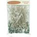 100pcs/lot Candle Wicks Coated with Natural Soy Wax - Low Smoke, Cotton Threads Woven with Paper - Candle DIY Supplies (8 inch) - Buy Online on GoSupps.com