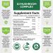 Mushroom Supplement - 10 Mushroom Complex for Brain Health & Immune Support - 120 Capsules - Buy Online on GoSupps.com