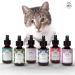 Catly Antibacterial spray Ear Cleaner | Cat ear cleaner and cat ear mite treatment | Camomile oil spray 100ml | Alternative to cat ear drops - Buy Online on GoSupps.com