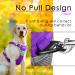 ThinkPet No-Pull Dog Harness & Leash Set - Breathable Adjustable Reflective Safety Harness for Small Medium & Large Dogs - Comfortable Purple Breast Harness with 150cm Leash - Buy Online on GoSupps.com