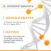 Advanced Vitamin C Serum with Hyaluronic Acid | Anti-Aging Dark Spot & Wrinkle Solution | Hydrating Face Serum with Centella Asiatica & Gotu Kola Extract - Buy Online on GoSupps.com