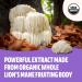 Organic Lion's Mane Mushroom Powder 60g - Mental Clarity Supplement for Coffee, Tea, Smoothies - Focus & Brain Support - Real Fruiting Body, No Fillers - Buy Online on GoSupps.com
