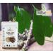 CROW Pack of 2 Gokhru Powder Giloy Powder (100 GM Each) Combo Pack 200 GM by B Naturall - Buy Online on GoSupps.com