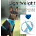 Thinkpet No-Pull Dog Harness & Leash Set - Adjustable Breathable Reflective Safety Harness for Small Medium & Large Dogs (Blue) - Buy Online on GoSupps.com