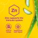Zarbee's Baby Immunity Syrup Zinc Honey-Free Immune System Support Sweetened with Agave 59 mL - Buy Online on GoSupps.com