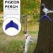 Villcase Pigeon Seating Board - 30 Durable Plastic Pigeon Stands & Bird Accessories in Random Blue Color for Pigeons & Other Birds - Buy Online on GoSupps.com